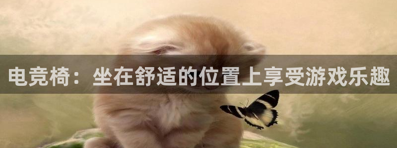 安博电竞网站官网入口下载