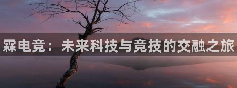 安博电竞网站官网入口手机版